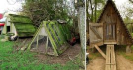 A-frame-chicken-coop-640×340