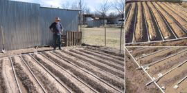 Drip-Irrigation-System-640×320