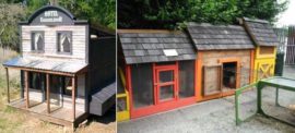 urban-chicken-coop-640×291